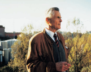 José Luiz de Albuquerque d’Orey